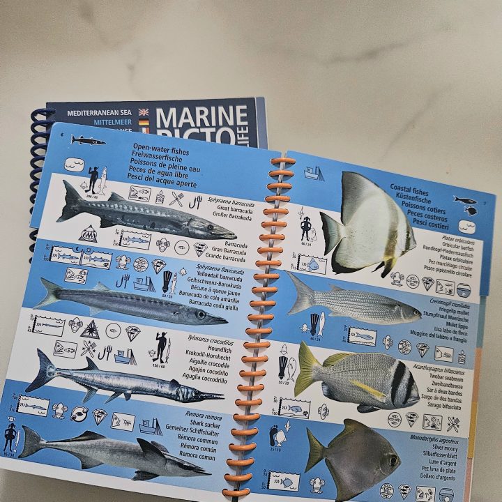 Une lecture simple et intuitive